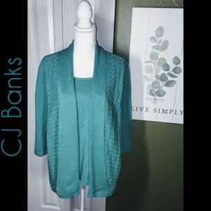 CJ Banks Sweater EUC